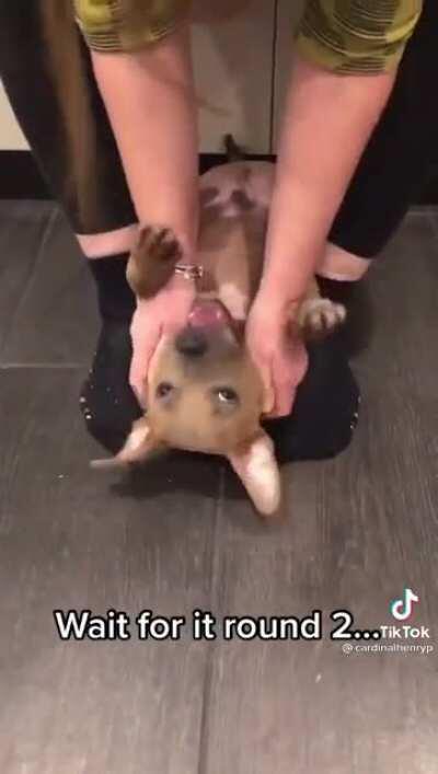 His favorite game!! 🥰