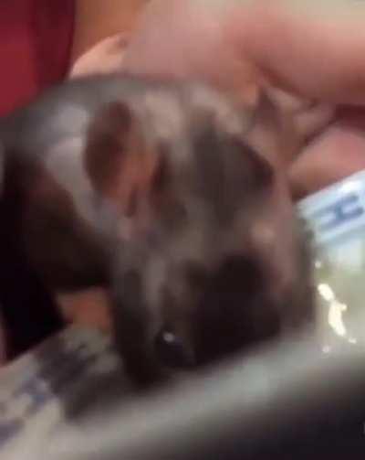 Poison was not the cure