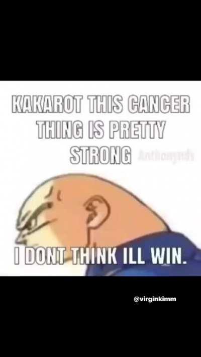 PedroDBR - Video #8791