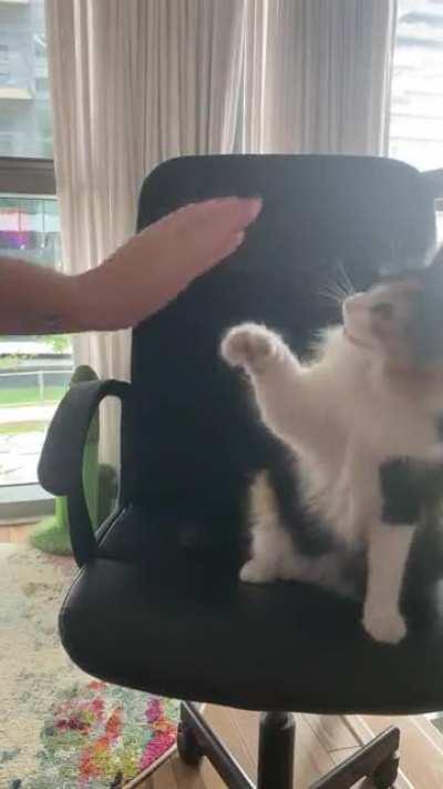 High five, low five, on the sly…