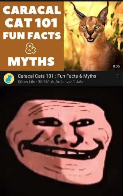 I know them all 😾😼😼😼😾🤝👏🗿🥵