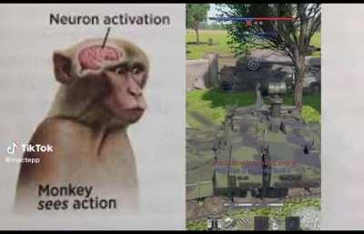 we are all simple monke