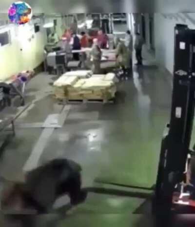 When an uninvited guest decides to show up