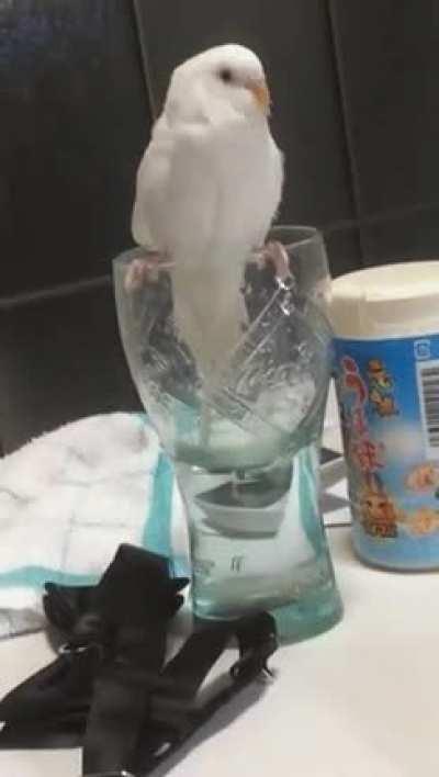 everyone makes mistakes