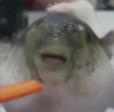 To end up like this... DAME DA NE