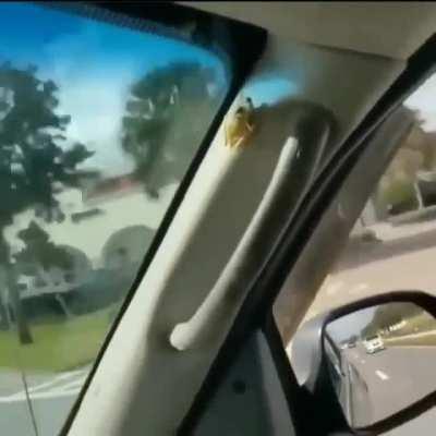 Don't you look at me!