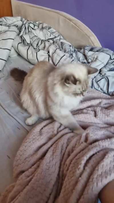 Get this damned hand out of my blanket!