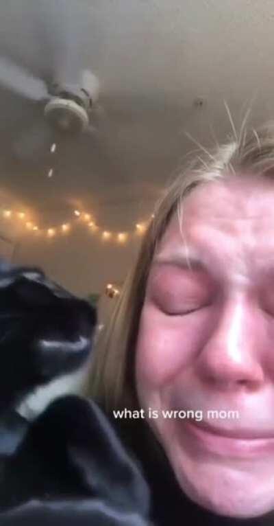 It’s ok. It’s ok.