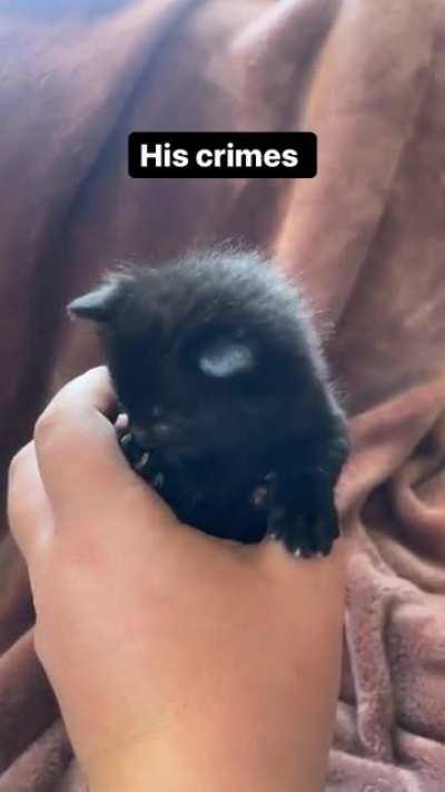 A very dangerous criminal