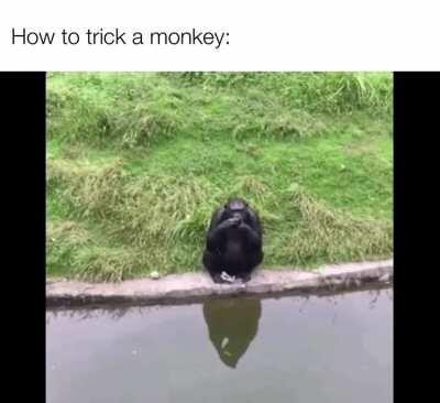 Wait for it....(trust me it’s worth it)