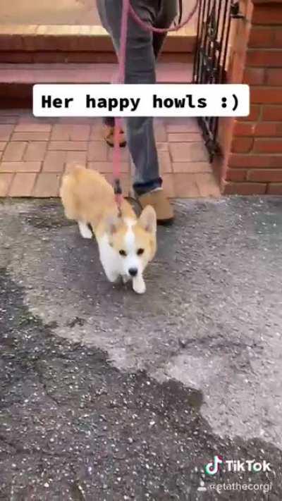 Happy howler! (sound highly recommended)