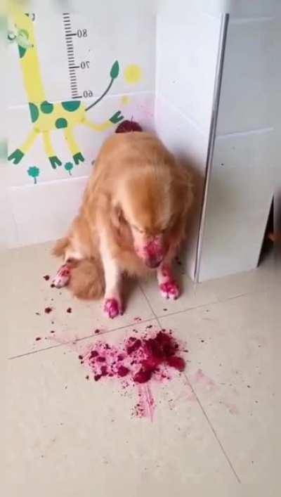 dEmOn WoLf dEvOured HeR oWn cHiLd BuT THE OtHeR pUppEy SuRvIvED bY HiDiNG. OH NOooOo!