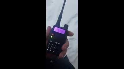 радио алиса