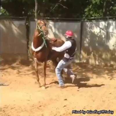 This also counts as a happy ending