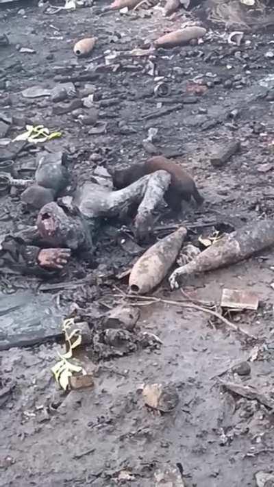 A perfectly cooked Russian soldier is devoured by a cute and fluffy Ukrainian cat.