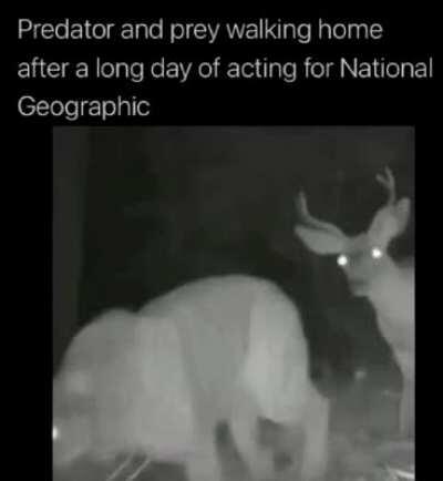 Let's go get a drink or sth (repost cuz GIF converter failed me)