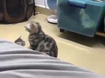 When you forget you have a kid. 😅😅😅