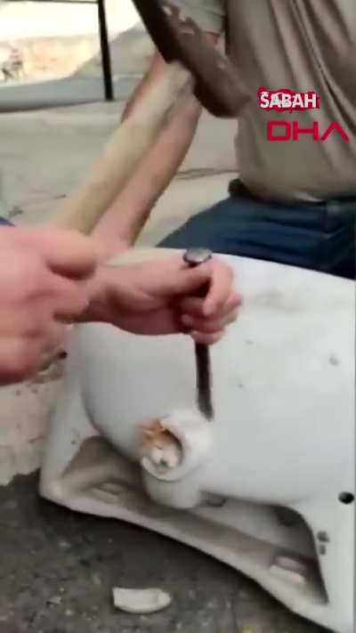 They are born this way, stupid from the very beginning.