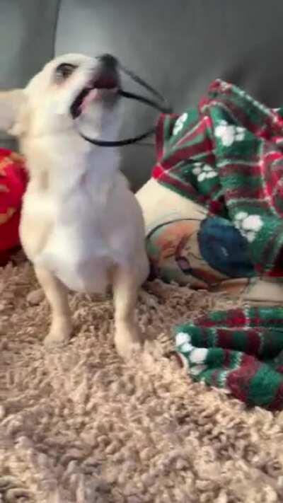 Hard times have befallen the tiny army household, we can no longer afford toys and have resorted to playing with zip ties