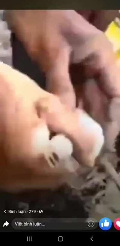 Blursed_cooking history