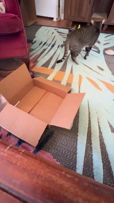 George strikes back!