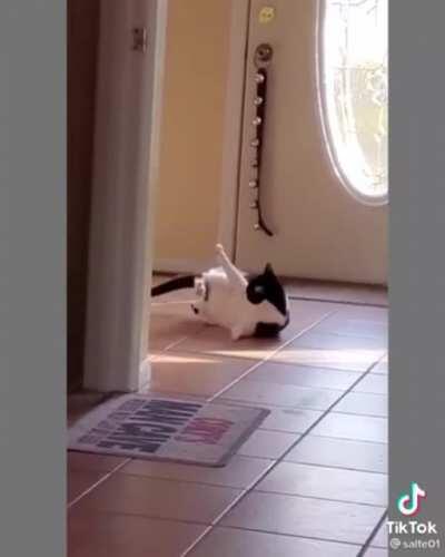 Help him, his tail is cursed