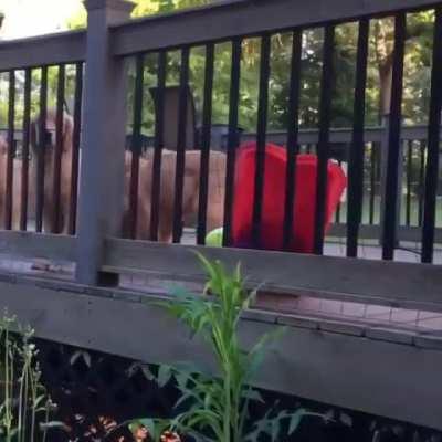 This is what the gates of heaven must look like