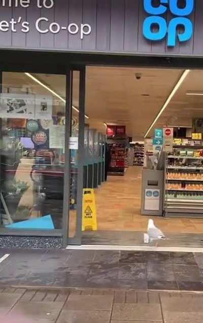 The best thief I've ever seen😳