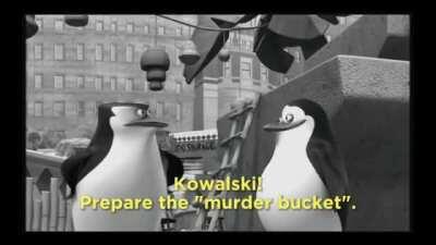 I'm 15 and this is yeet