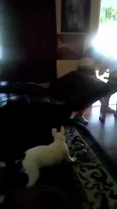 you nappa you get slappa