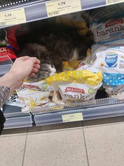 Jaunais abrand darbinieks atpūšas