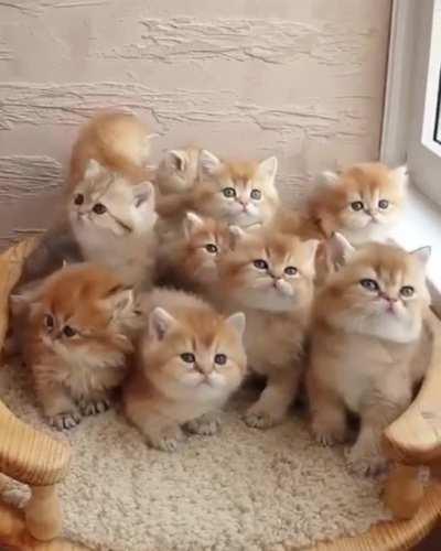 The ones in the back of the classroom never pay attention