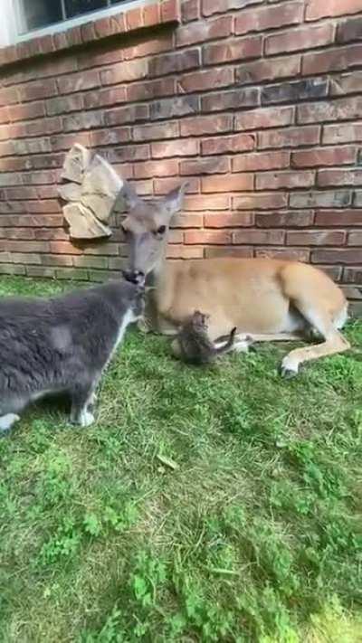 A unique group of friends