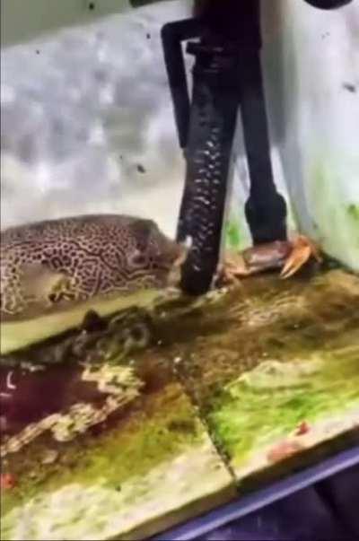 If spongebob came out in 2007