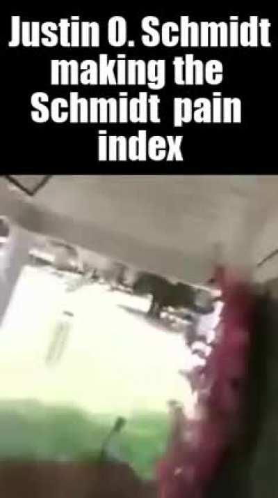 Justin Schmidt a true hero of our times