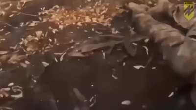 A russian soldier is shot and killed at close range by a Ukrainian soldier of the 1st corps of the national guard 