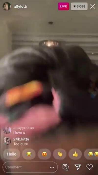 Picture she’s giving you head with your cum all over her face