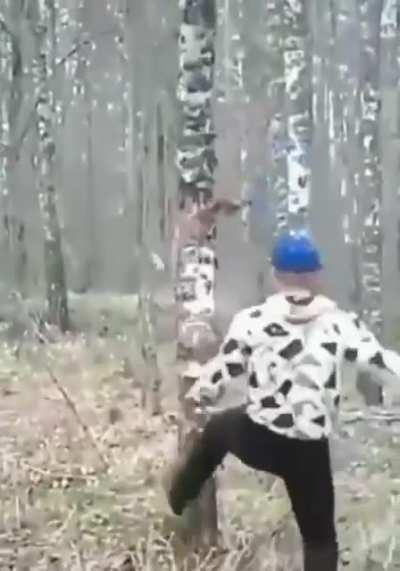 do not go through the forest fighting with the dry trunks