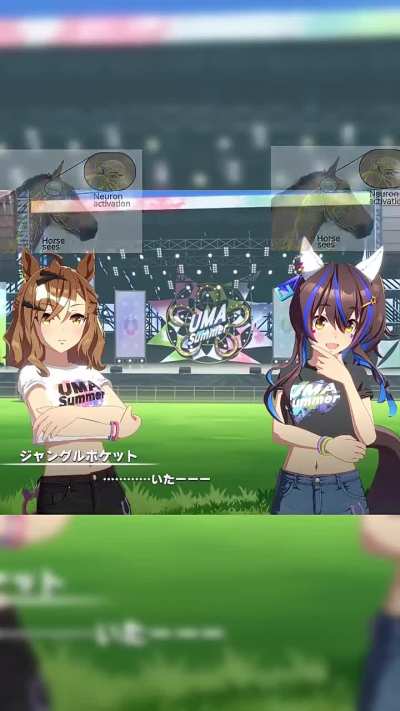 Stallions will be Stallions