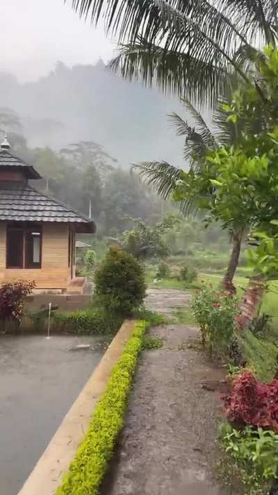 Nature’s quiet voice speaks through the sound of rain.🍃