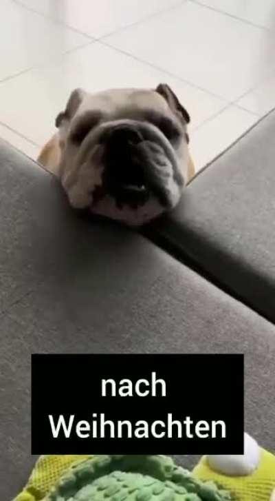 I nach Weihnochtn....