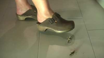 La Blond ~🇩🇪~Toeffler 36EU