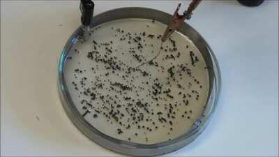 Self Assembling wires