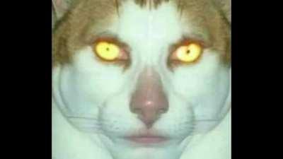 Consider your options