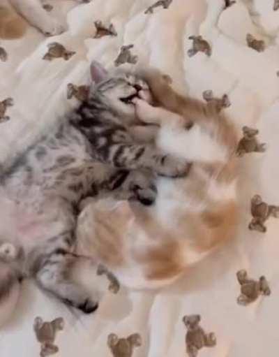 And behind door number one...