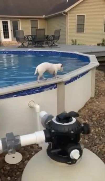 Not what I expected but what I wanted all along...