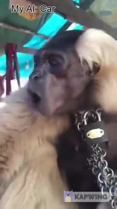 Oh no the Ai will take over the world!