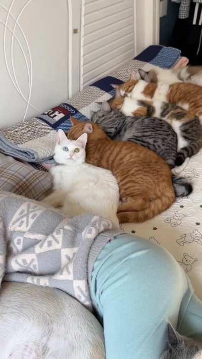 Heaven is a place on Earth