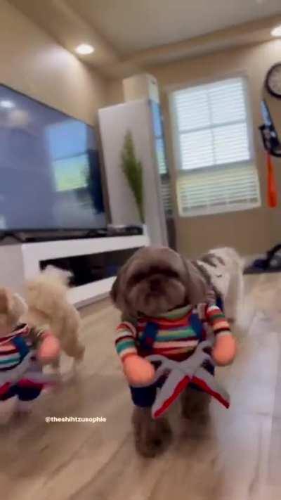 We are bone for halloween 👻🎃and got tricks up our sleeves✂️✂️✂️