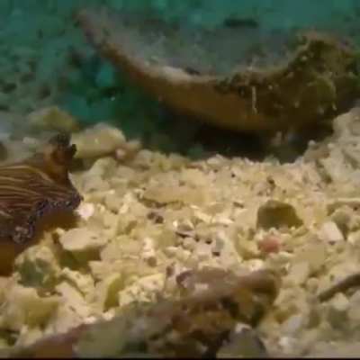 Day 2 of posting this every Friday